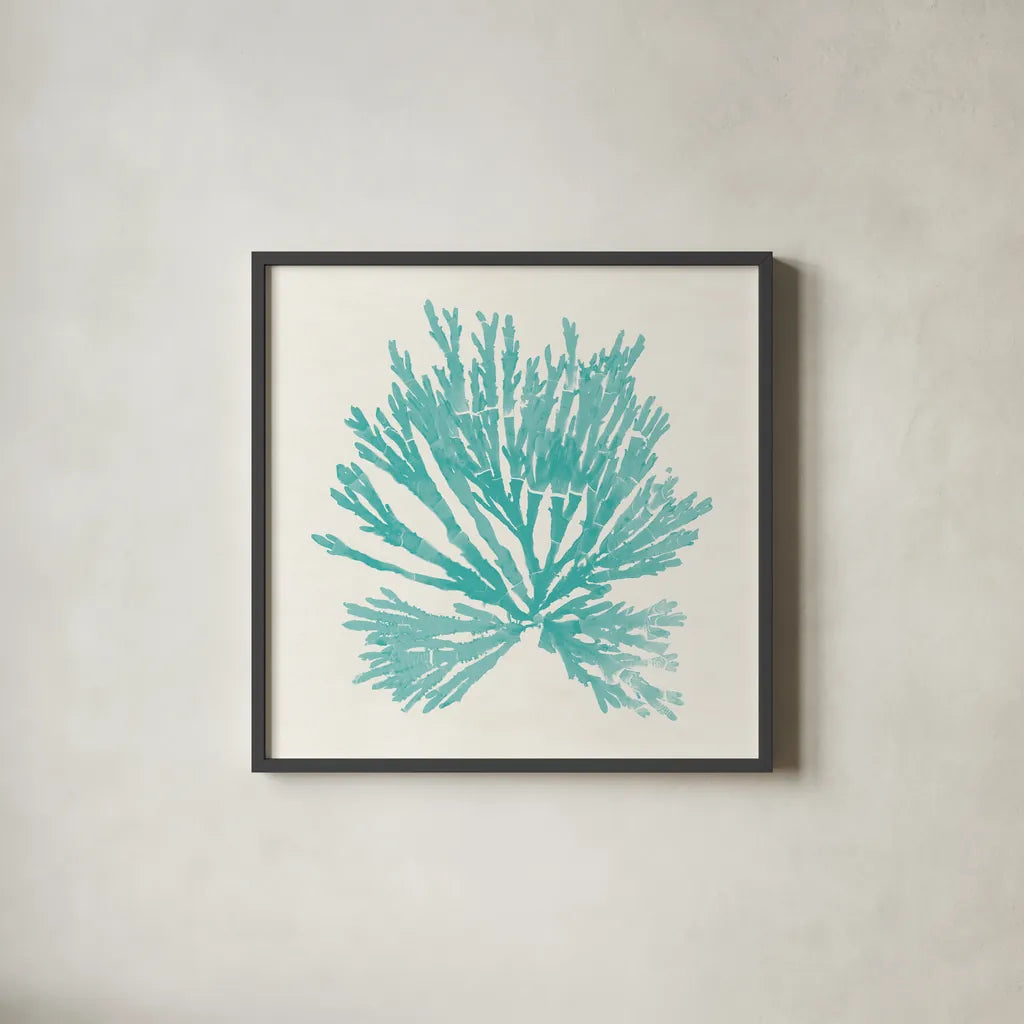 Pacific Sea Mosses II Aqua by Wild Apple Portfolio. Shown in a sleek black glass frame for a contemporary gallery look. Available as an archival giclee rolled canvas, fine art paper, or poster print. SKU 55909a.