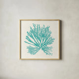 Pacific Sea Mosses II Aqua by Wild Apple Portfolio. Shown in a natural wood glass frame for a timeless modern aesthetic. Available as an archival giclee rolled canvas, fine art paper, or poster print. SKU 55909a.