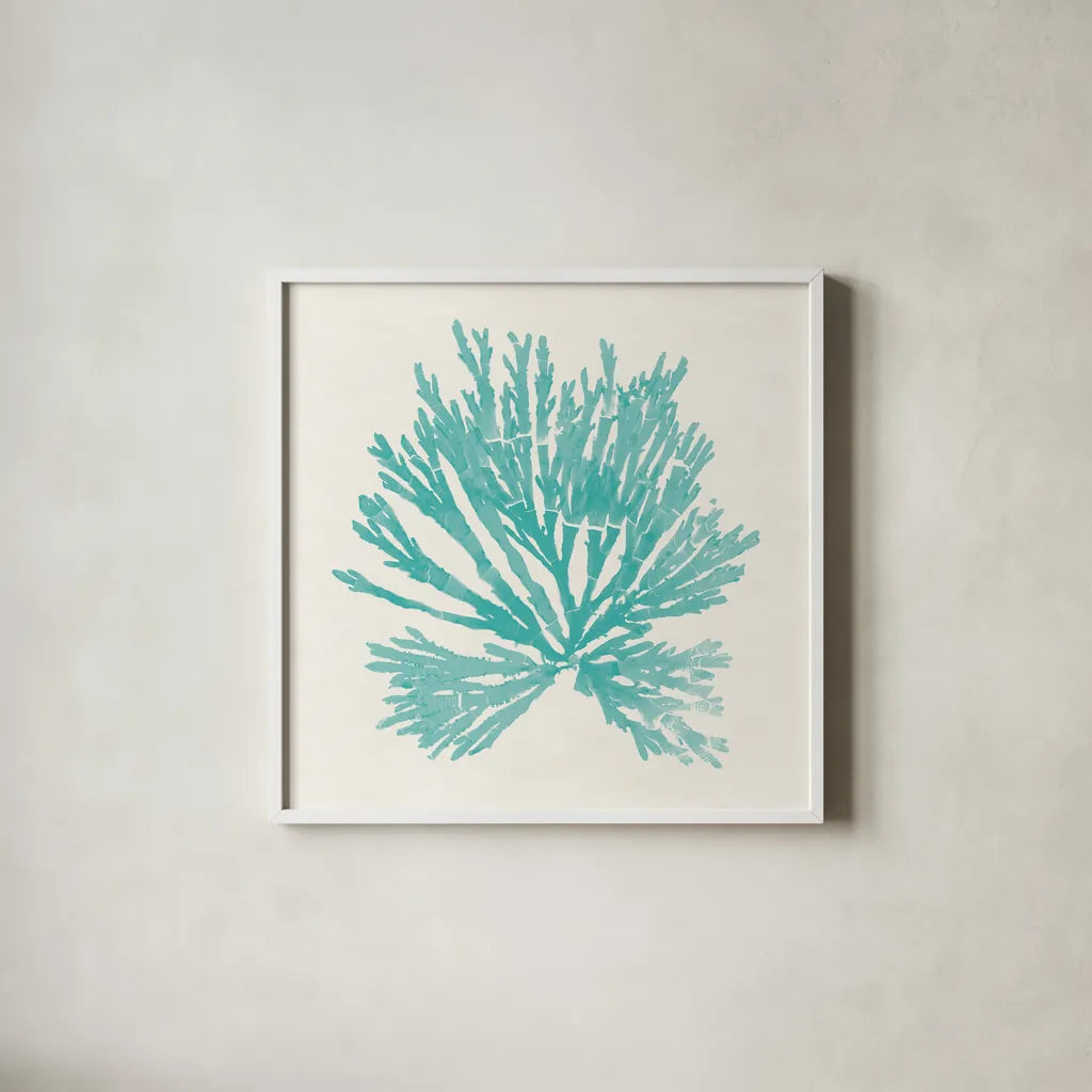 Pacific Sea Mosses II Aqua by Wild Apple Portfolio. Shown in a crisp white glass frame for a clean and minimalist style. Available as an archival giclee rolled canvas, fine art paper, or poster print. SKU 55909a.