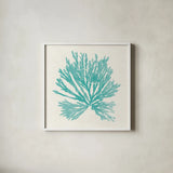 Pacific Sea Mosses II Aqua by Wild Apple Portfolio. Shown in a crisp white glass frame for a clean and minimalist style. Available as an archival giclee rolled canvas, fine art paper, or poster print. SKU 55909a.