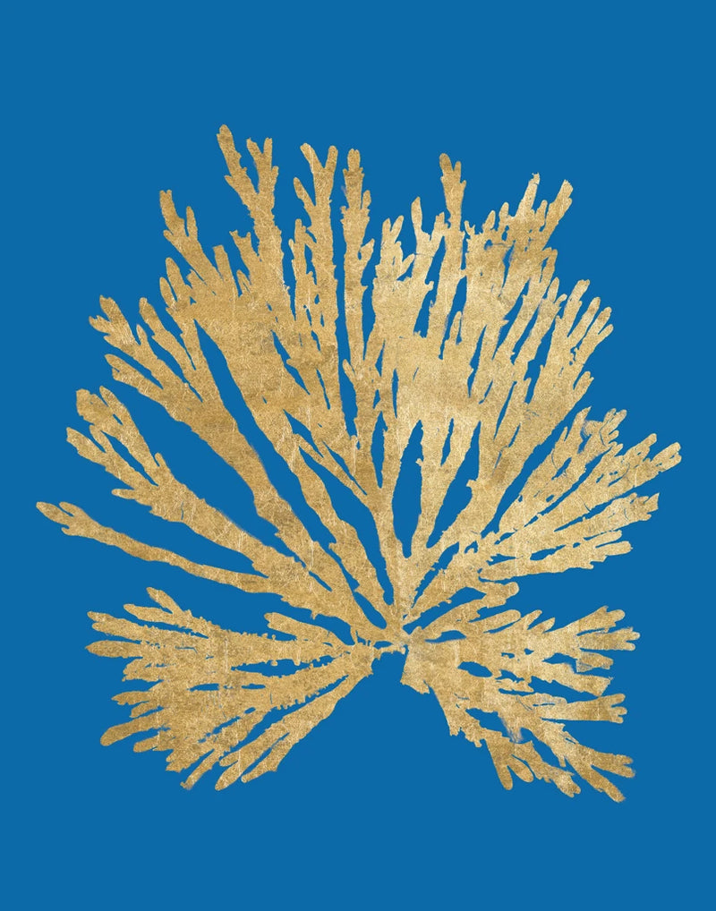 Pacific Sea Mosses II Blue by Wild Apple Portfolio