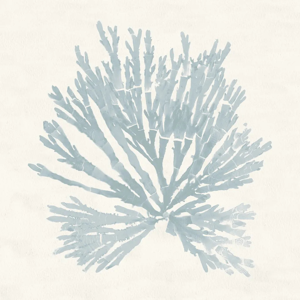 Pacific Sea Mosses II Blue by Wild Apple Portfolio. SKU 87174a. Archival Giclee Fine art print for wall decor.