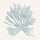 Pacific Sea Mosses II Blue by Wild Apple Portfolio. SKU 87174a. Archival Giclee Fine art print for wall decor.