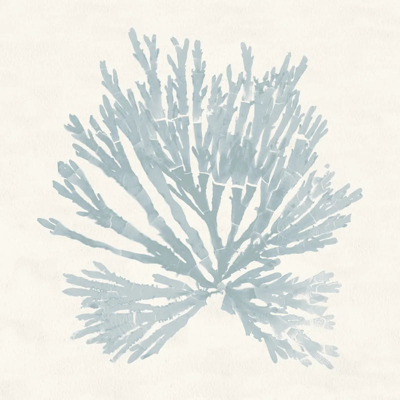 Pacific Sea Mosses II Blue by Wild Apple Portfolio. SKU 87174a. Archival Giclee Fine art print for wall decor.