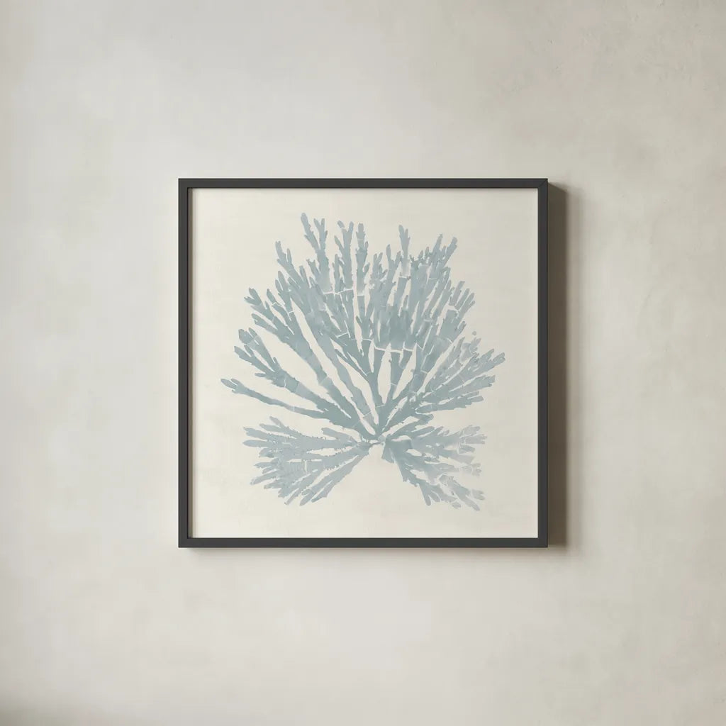 Pacific Sea Mosses II Blue by Wild Apple Portfolio. Shown in a sleek black glass frame for a contemporary gallery look. Available as an archival giclee rolled canvas, fine art paper, or poster print. SKU 87174a.