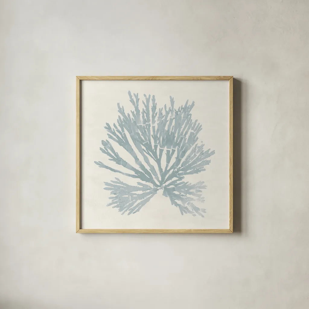 Pacific Sea Mosses II Blue by Wild Apple Portfolio. Shown in a natural wood glass frame for a timeless modern aesthetic. Available as an archival giclee rolled canvas, fine art paper, or poster print. SKU 87174a.