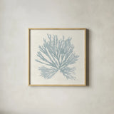 Pacific Sea Mosses II Blue by Wild Apple Portfolio. Shown in a natural wood glass frame for a timeless modern aesthetic. Available as an archival giclee rolled canvas, fine art paper, or poster print. SKU 87174a.