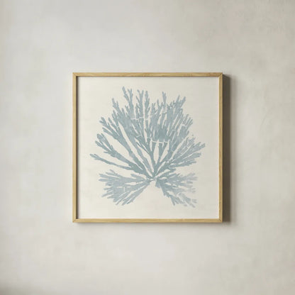 Pacific Sea Mosses II Blue by Wild Apple Portfolio. Shown in a natural wood glass frame for a timeless modern aesthetic. Available as an archival giclee rolled canvas, fine art paper, or poster print. SKU 87174a.