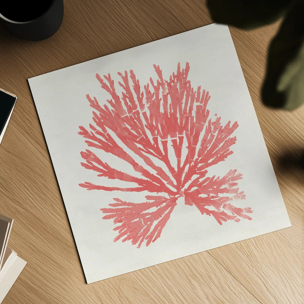 Pacific Sea Mosses II Coral by Wild Apple Portfolio. Shown as a detailed flat fine art print, highlighting archival giclee quality. Available as an archival giclee rolled canvas, fine art paper, or poster print. SKU 55905a.