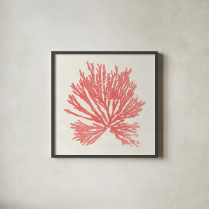 Pacific Sea Mosses II Coral by Wild Apple Portfolio. Shown in a sleek black glass frame for a contemporary gallery look. Available as an archival giclee rolled canvas, fine art paper, or poster print. SKU 55905a.