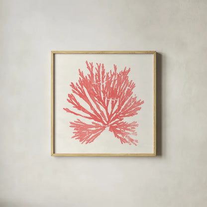 Pacific Sea Mosses II Coral by Wild Apple Portfolio. Shown in a natural wood glass frame for a timeless modern aesthetic. Available as an archival giclee rolled canvas, fine art paper, or poster print. SKU 55905a.