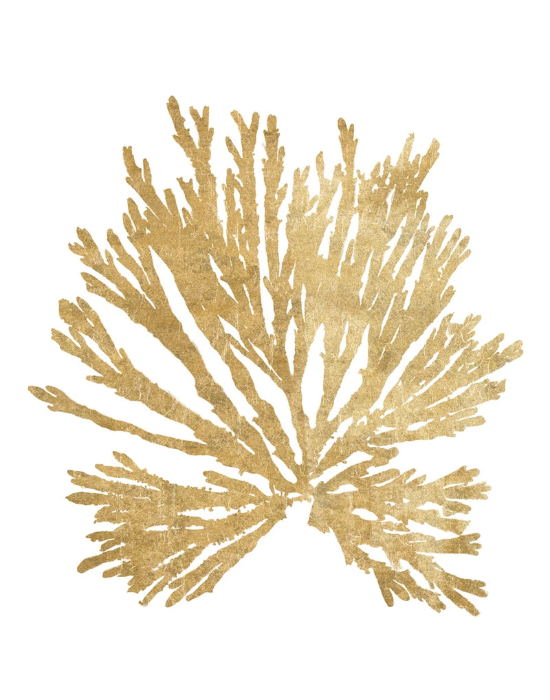 Pacific Sea Mosses II Gold by Wild Apple Portfolio