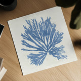 Pacific Sea Mosses II Light Blue by Wild Apple Portfolio. Shown as a detailed flat fine art print, highlighting archival giclee quality. Available as an archival giclee rolled canvas, fine art paper, or poster print. SKU 55913a.