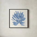 Pacific Sea Mosses II Light Blue by Wild Apple Portfolio. Shown in a sleek black glass frame for a contemporary gallery look. Available as an archival giclee rolled canvas, fine art paper, or poster print. SKU 55913a.