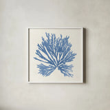 Pacific Sea Mosses II Light Blue by Wild Apple Portfolio. Shown in a crisp white glass frame for a clean and minimalist style. Available as an archival giclee rolled canvas, fine art paper, or poster print. SKU 55913a.