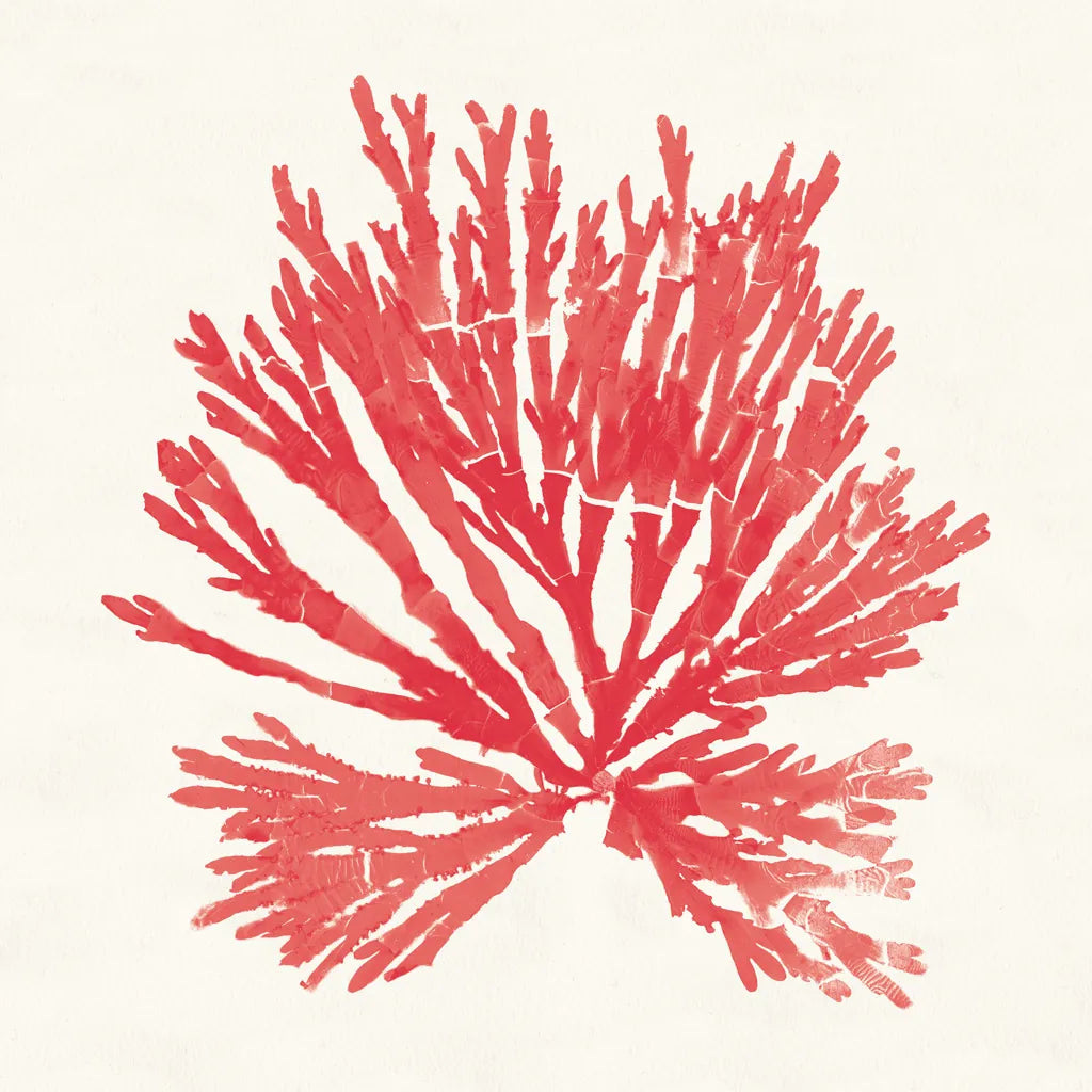 Pacific Sea Mosses II Red by Wild Apple Portfolio. SKU 55917a. Archival Giclee Fine art print for wall decor.
