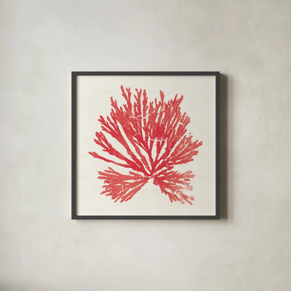 Pacific Sea Mosses II Red by Wild Apple Portfolio. Shown in a sleek black glass frame for a contemporary gallery look. Available as an archival giclee rolled canvas, fine art paper, or poster print. SKU 55917a.