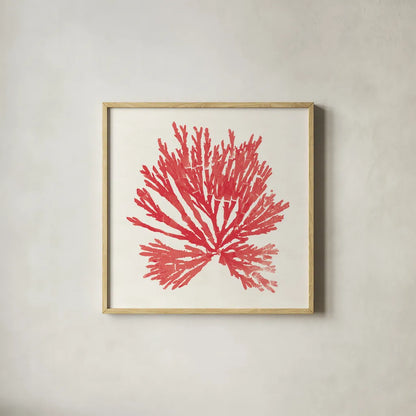Pacific Sea Mosses II Red by Wild Apple Portfolio. Shown in a natural wood glass frame for a timeless modern aesthetic. Available as an archival giclee rolled canvas, fine art paper, or poster print. SKU 55917a.