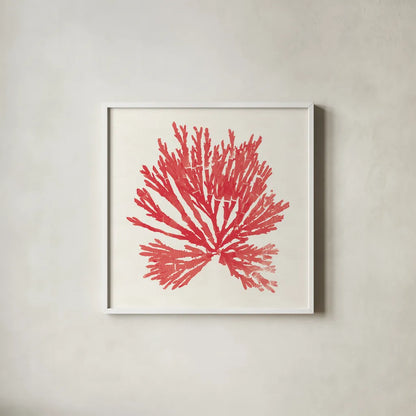 Pacific Sea Mosses II Red by Wild Apple Portfolio. Shown in a crisp white glass frame for a clean and minimalist style. Available as an archival giclee rolled canvas, fine art paper, or poster print. SKU 55917a.
