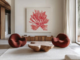 Pacific Sea Mosses II Red by Wild Apple Portfolio. Shown as extra-large giant wall art in a modern living room. Available as an archival giclee rolled canvas, fine art paper, or poster print. SKU 55917a.