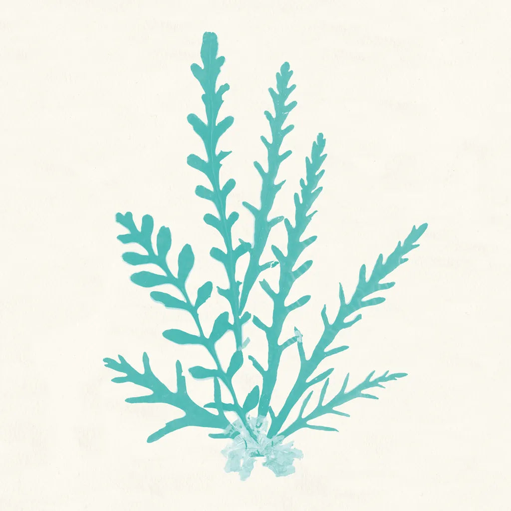 Pacific Sea Mosses III Aqua by Wild Apple Portfolio. SKU 55910a. Archival Giclee Fine art print for wall decor.