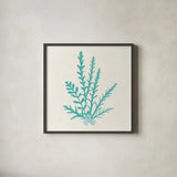 Pacific Sea Mosses III Aqua by Wild Apple Portfolio. Shown in a sleek black glass frame for a contemporary gallery look. Available as an archival giclee rolled canvas, fine art paper, or poster print. SKU 55910a.