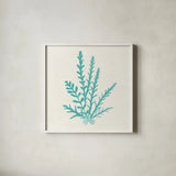 Pacific Sea Mosses III Aqua by Wild Apple Portfolio. Shown in a crisp white glass frame for a clean and minimalist style. Available as an archival giclee rolled canvas, fine art paper, or poster print. SKU 55910a.
