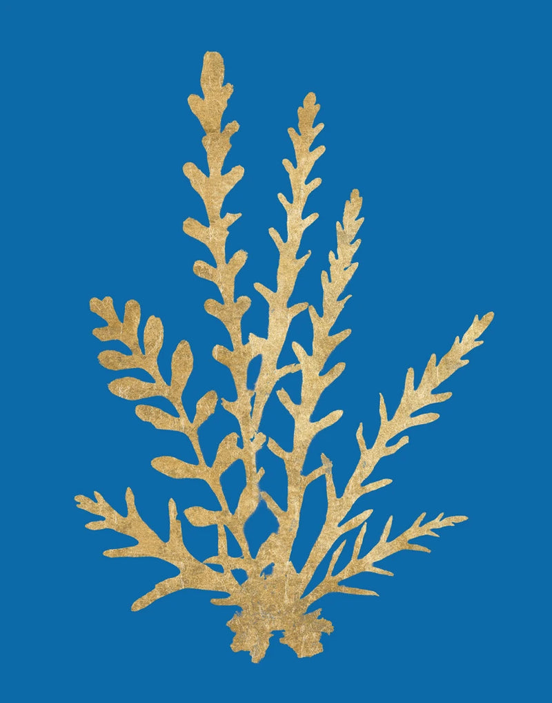 Pacific Sea Mosses III Blue by Wild Apple Portfolio