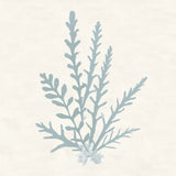 Pacific Sea Mosses III Blue by Wild Apple Portfolio. SKU 87175a. Archival Giclee Fine art print for wall decor.
