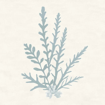 Pacific Sea Mosses III Blue by Wild Apple Portfolio. SKU 87175a. Archival Giclee Fine art print for wall decor.