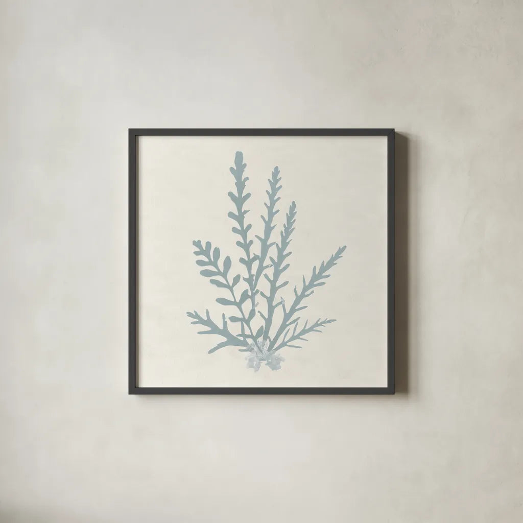 Pacific Sea Mosses III Blue by Wild Apple Portfolio. Shown in a sleek black glass frame for a contemporary gallery look. Available as an archival giclee rolled canvas, fine art paper, or poster print. SKU 87175a.