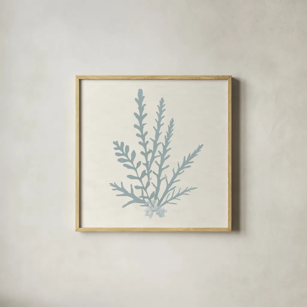 Pacific Sea Mosses III Blue by Wild Apple Portfolio. Shown in a natural wood glass frame for a timeless modern aesthetic. Available as an archival giclee rolled canvas, fine art paper, or poster print. SKU 87175a.