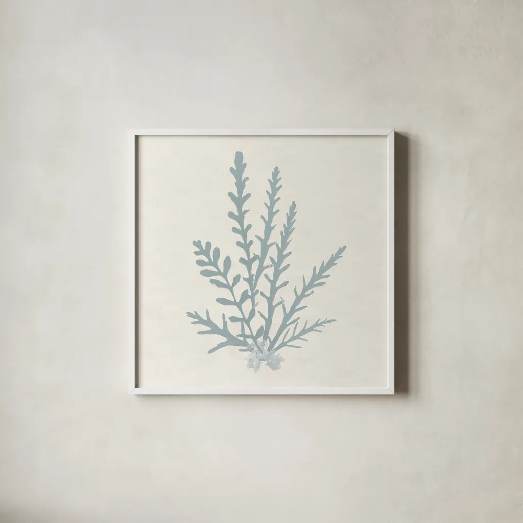 Pacific Sea Mosses III Blue by Wild Apple Portfolio. Shown in a crisp white glass frame for a clean and minimalist style. Available as an archival giclee rolled canvas, fine art paper, or poster print. SKU 87175a.