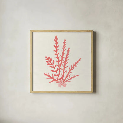 Pacific Sea Mosses III Coral by Wild Apple Portfolio. Shown in a natural wood glass frame for a timeless modern aesthetic. Available as an archival giclee rolled canvas, fine art paper, or poster print. SKU 55906a.