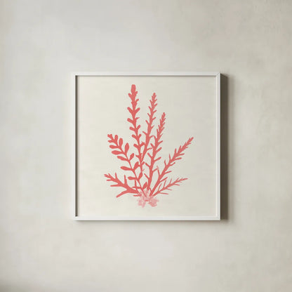 Pacific Sea Mosses III Coral by Wild Apple Portfolio. Shown in a crisp white glass frame for a clean and minimalist style. Available as an archival giclee rolled canvas, fine art paper, or poster print. SKU 55906a.
