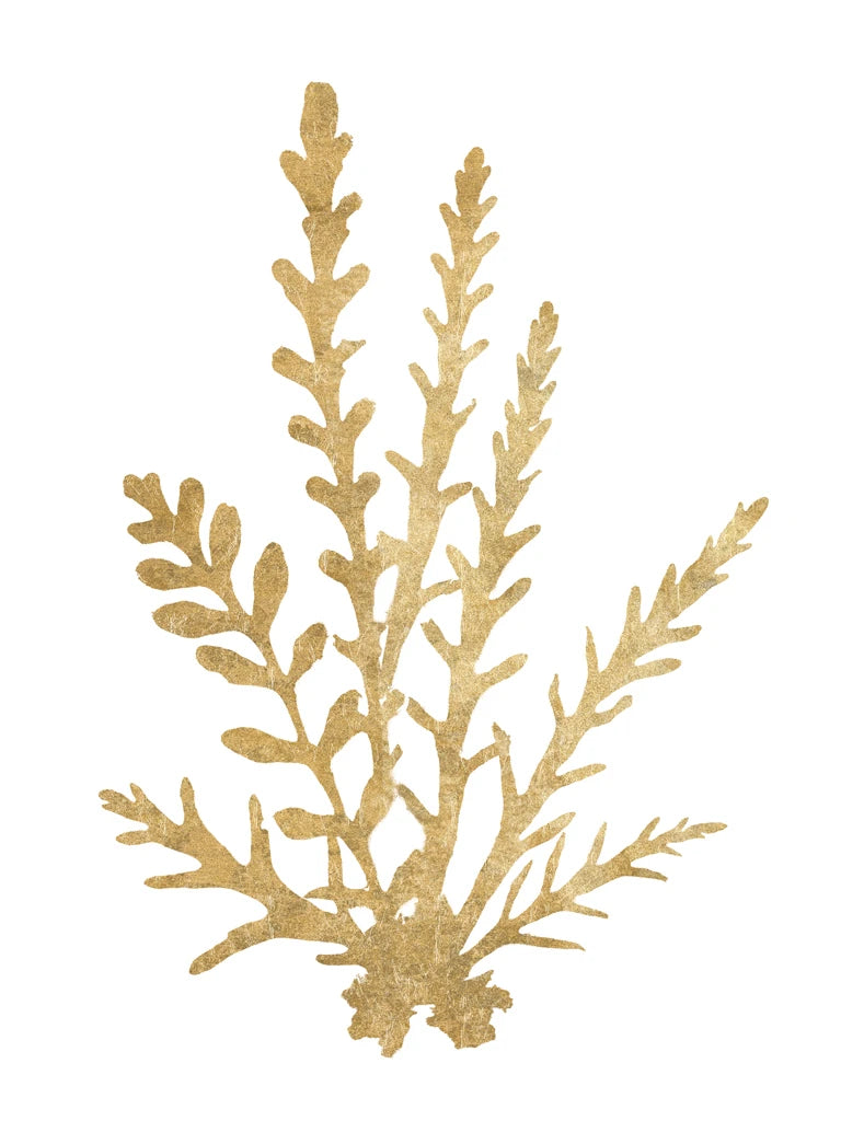 Pacific Sea Mosses III Gold Crop by Wild Apple Portfolio