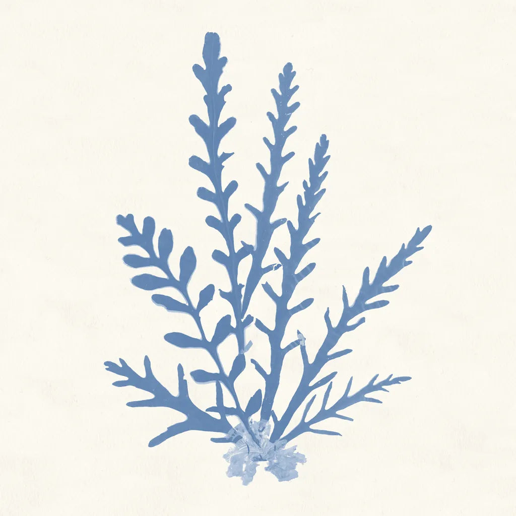 Pacific Sea Mosses III Light Blue by Wild Apple Portfolio. SKU 55914a. Archival Giclee Fine art print for wall decor.