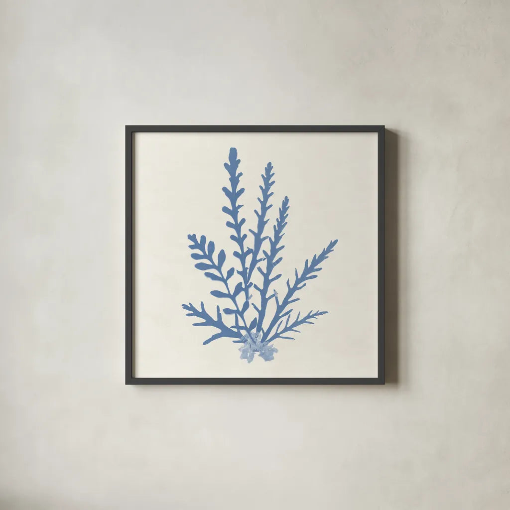 Pacific Sea Mosses III Light Blue by Wild Apple Portfolio. Shown in a sleek black glass frame for a contemporary gallery look. Available as an archival giclee rolled canvas, fine art paper, or poster print. SKU 55914a.