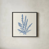 Pacific Sea Mosses III Light Blue by Wild Apple Portfolio. Shown in a sleek black glass frame for a contemporary gallery look. Available as an archival giclee rolled canvas, fine art paper, or poster print. SKU 55914a.