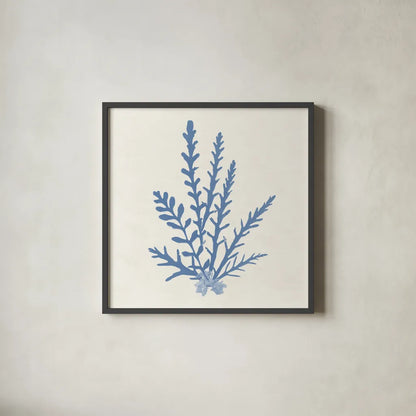Pacific Sea Mosses III Light Blue by Wild Apple Portfolio. Shown in a sleek black glass frame for a contemporary gallery look. Available as an archival giclee rolled canvas, fine art paper, or poster print. SKU 55914a.