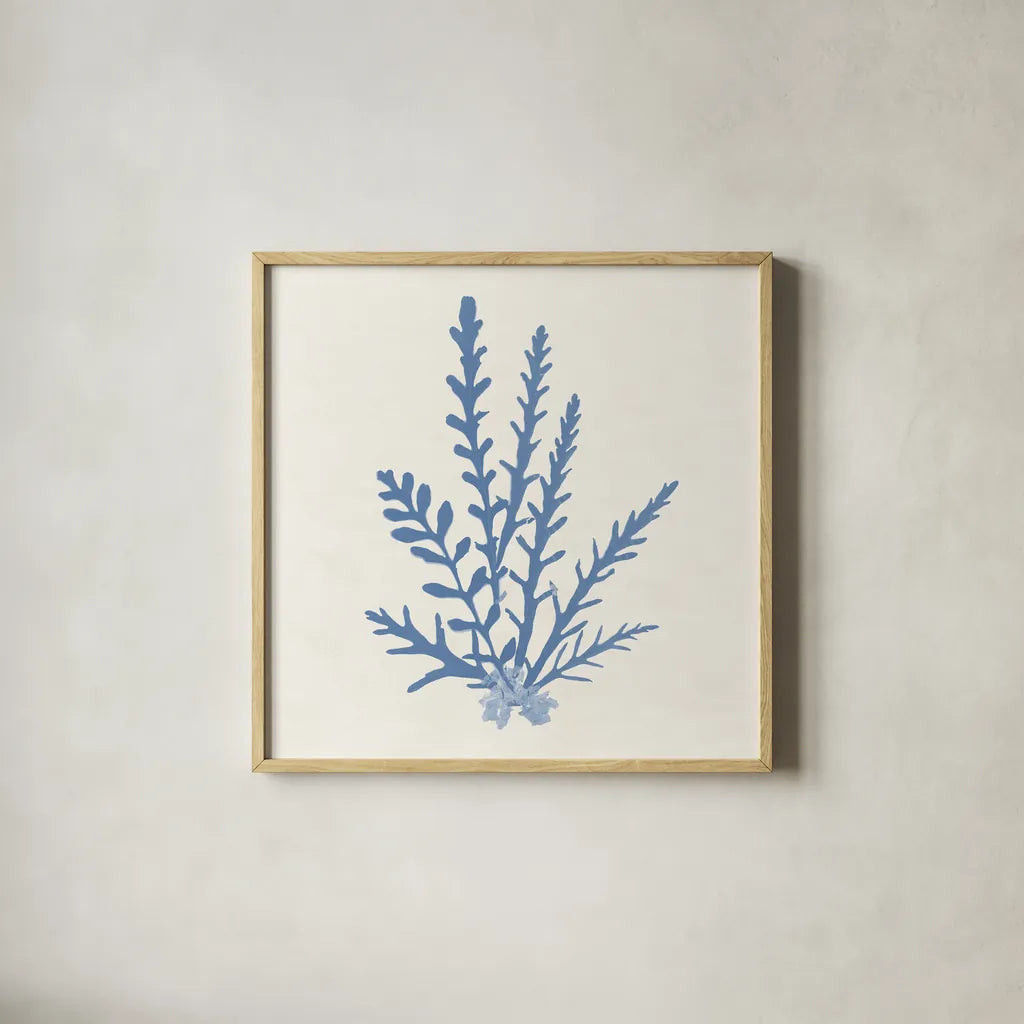 Pacific Sea Mosses III Light Blue by Wild Apple Portfolio. Shown in a natural wood glass frame for a timeless modern aesthetic. Available as an archival giclee rolled canvas, fine art paper, or poster print. SKU 55914a.
