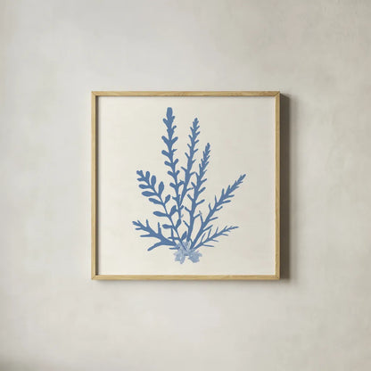 Pacific Sea Mosses III Light Blue by Wild Apple Portfolio. Shown in a natural wood glass frame for a timeless modern aesthetic. Available as an archival giclee rolled canvas, fine art paper, or poster print. SKU 55914a.