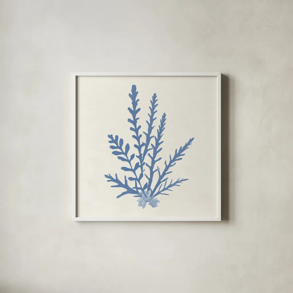 Pacific Sea Mosses III Light Blue by Wild Apple Portfolio. Shown in a crisp white glass frame for a clean and minimalist style. Available as an archival giclee rolled canvas, fine art paper, or poster print. SKU 55914a.