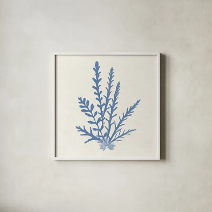 Pacific Sea Mosses III Light Blue by Wild Apple Portfolio. Shown in a crisp white glass frame for a clean and minimalist style. Available as an archival giclee rolled canvas, fine art paper, or poster print. SKU 55914a.