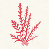 Pacific Sea Mosses III Red by Wild Apple Portfolio. SKU 55918a. Archival Giclee Fine art print for wall decor.