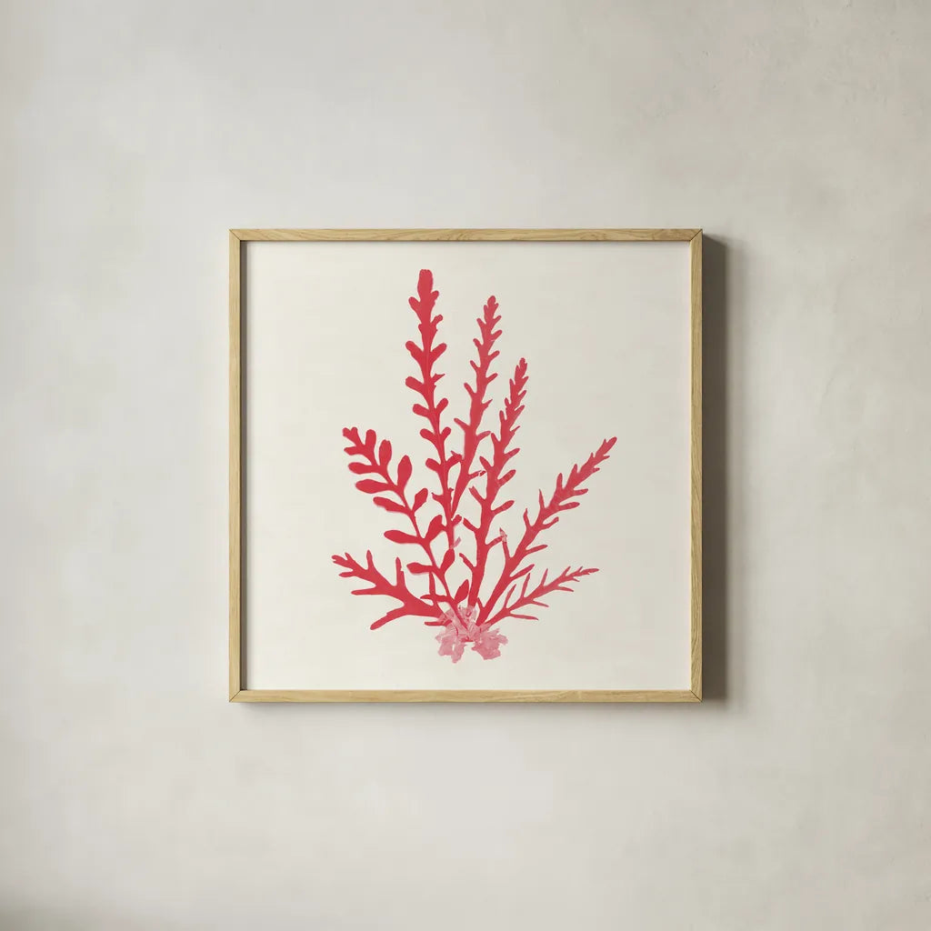 Pacific Sea Mosses III Red by Wild Apple Portfolio. Shown in a natural wood glass frame for a timeless modern aesthetic. Available as an archival giclee rolled canvas, fine art paper, or poster print. SKU 55918a.