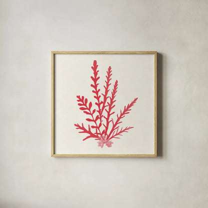 Pacific Sea Mosses III Red by Wild Apple Portfolio. Shown in a natural wood glass frame for a timeless modern aesthetic. Available as an archival giclee rolled canvas, fine art paper, or poster print. SKU 55918a.