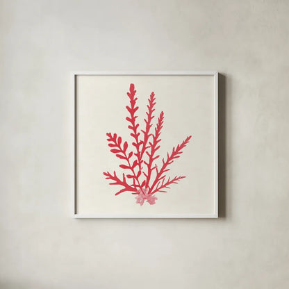Pacific Sea Mosses III Red by Wild Apple Portfolio. Shown in a crisp white glass frame for a clean and minimalist style. Available as an archival giclee rolled canvas, fine art paper, or poster print. SKU 55918a.