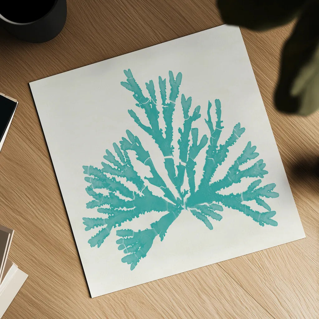 Pacific Sea Mosses IV Aqua by Wild Apple Portfolio. Shown as a detailed flat fine art print, highlighting archival giclee quality. Available as an archival giclee rolled canvas, fine art paper, or poster print. SKU 55911a.