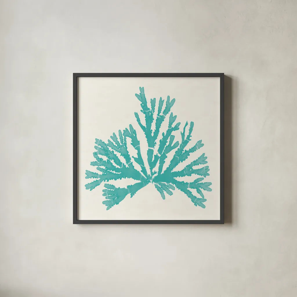 Pacific Sea Mosses IV Aqua by Wild Apple Portfolio. Shown in a sleek black glass frame for a contemporary gallery look. Available as an archival giclee rolled canvas, fine art paper, or poster print. SKU 55911a.